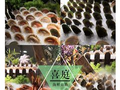 -喜庭海鲜自助(来福士店)