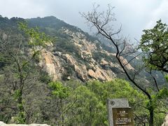 -泰山风景名胜区