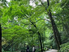-虎跑公园