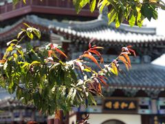 -北京雁栖湖国际会展中心