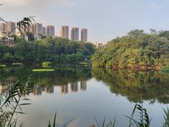 -重庆彩云湖湿地公园