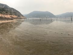 -北岐滩涂