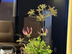 -滇野云南野生菌餐厅(陕西南路店)