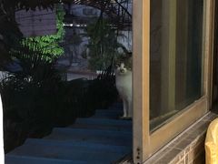 -大自然醉鹅(海珠分店)