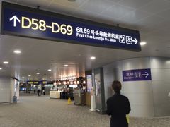 -上海浦东国际机场-T2航站楼