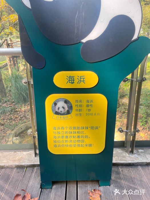 黔灵山公园图片