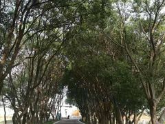 -同里国家湿地公园