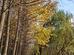 -杭州电子科技大学(下沙校区)