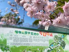 -南山植物园