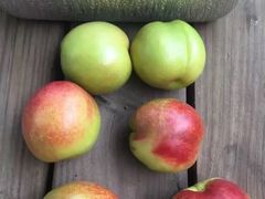 -苏州香山国际大酒店