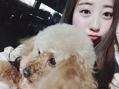 -佳百利宠物(荣乐中路115弄小区店)