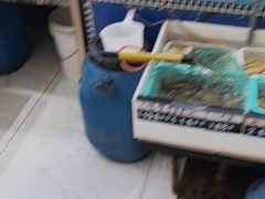 -昌顺园·养马岛渔家海鲜餐厅·老鲁菜(龙湖店)
