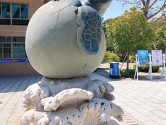-广东惠东海龟国家级自然保护区