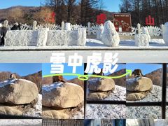 -横道河子东北虎林园