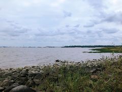 -上海吴淞炮台湾国家湿地公园