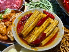 -阳阳老火锅(小南门店)