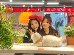 -百事喜乐炸鸡铺(合肥首店)