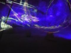 -贝壳梦幻世界