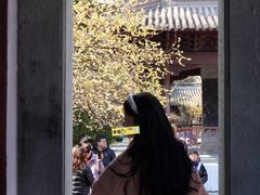 -钱王祠