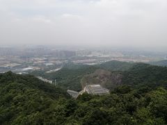 -杭州半山国家森林公园