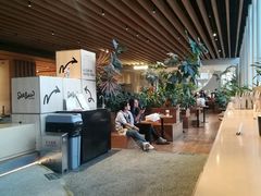 -Seesaw Coffee(朝阳大悦城店)