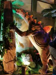 点击看大图 -恐龙探索乐园(磁器口店)