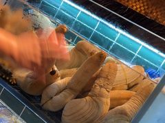 -雍容荟活帝王蟹活龙虾自助(苏宁旗舰店)