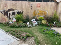 -苏州太湖西山岛开心农场