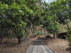 -漳州滨海火山岛自然生态风景区