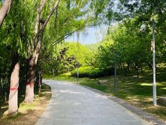 -河北省园博园