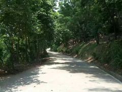 -中山市树木园