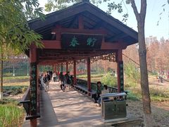 -重庆彩云湖湿地公园