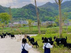 -楠溪江风景名胜区