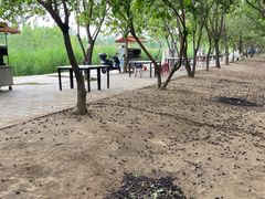 -第五季龙水凤港生态露营农场