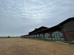 -泗洪洪泽湖湿地景区