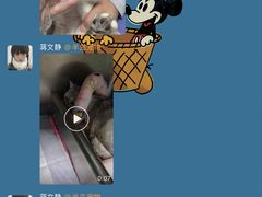 -半岛宠物医院24小时·内窥镜·牙科·碎石中心(府城大道店)