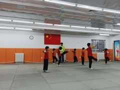 -武术世家少儿培训中心(首都体育学院店)