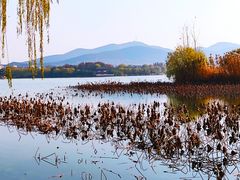 -云龙湖旅游景区