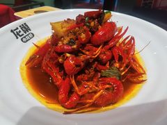 -龙巢盱眙龙虾·牛蛙·烧烤宵夜(八卦岭店)