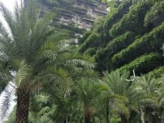 -碧桂园总部(碧江大桥店)