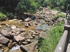 -广州白江湖森林公园