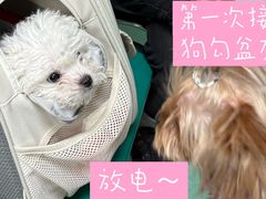 -北京观赏动物医院·24小时大型综合·猫专科·异宠专科