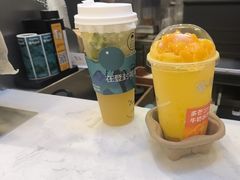 -雾与山茶(大禹城店)