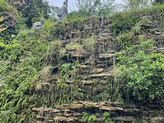 -广州神农草堂中医药博物馆