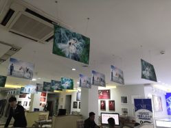 -王子宫殿婚纱摄影(环山路总店)