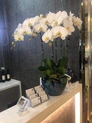 -意廊 Hair Salon