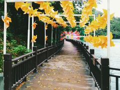 -石燕湖生态旅游景区