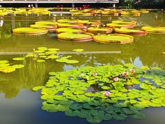 -国家植物园南园