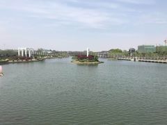 -上海鲜花港