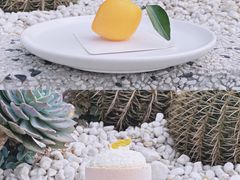 柠檬·仿真水果慕斯-COFFEEOLOGY咖啡学(天银店)